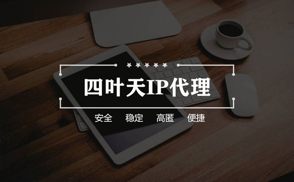 【三门峡代理IP】如何快速搭建代理IP？怎么检查代理的效果？